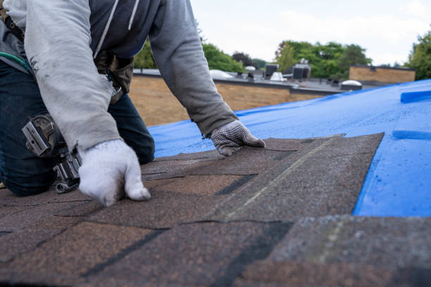 Quick and Trustworthy Emergency Roof Repair Services in Carlyss, LA